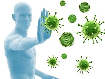 Allergie Immumreaktion