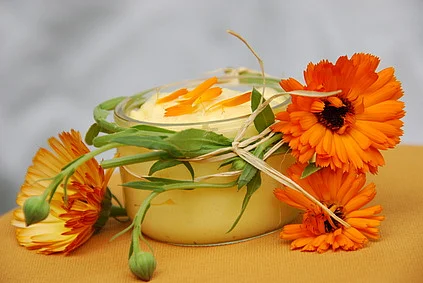 Ringelblumensalbe