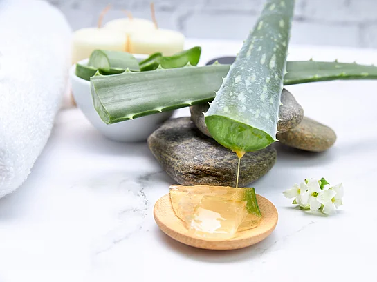 Aloe Vera Aloevera Aloepflanze Aloe Vera Gel