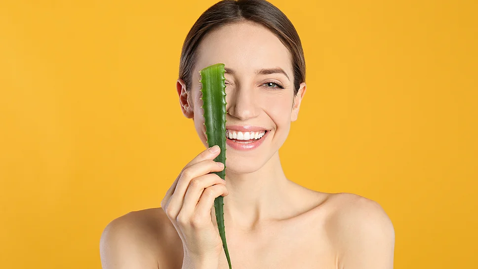 Aloe Vera Hautpflege trockene Gesichtshaut