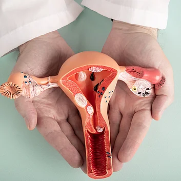 Urogenitale Infekte wie Blasenentzuendung