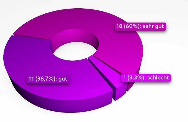 Sorion Produkttest Ergibigkeit